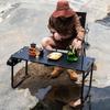 Portable Folding Table Black Camping Home Table New Outdoor Equipment Table