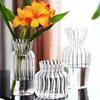 Glass Vase Transparent Hydroponic Striped Vase Small Fresh Dried Flowers Fresh Flowers Table Decoration Flower Arrangement Vase