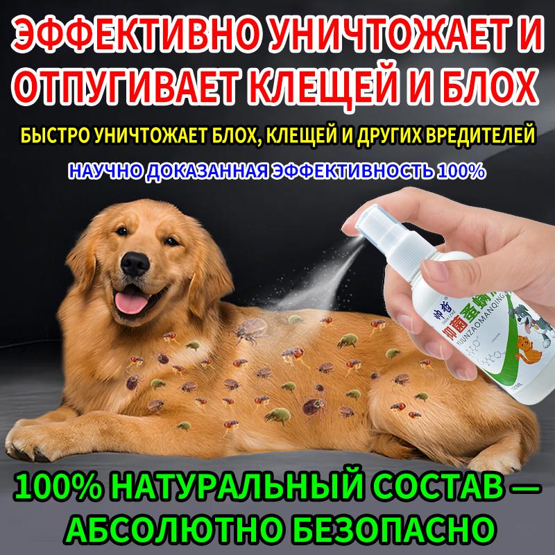 

Flea and Tick Spray for Dogs, Cats & Home, Kills & Prevents, 100ml