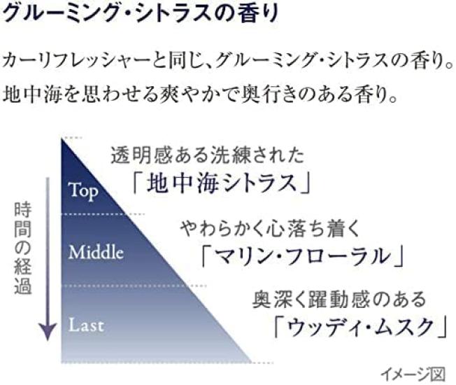 Bulk Proud Men Car Fragrance Set of 3 Citrus Hanging for Cars Purchase Tags, (Grooming Scent), Style,