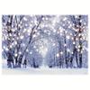 Winter Forest Polyester Photography Backdrop Snow Natural Scenery Landscape Path Background Wonderland Baby Shower Decorations