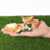 Toys Swan Model Life Cycle Figures Cycle Duck Figurine Growth Cycle Simulation White Goose
