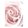 Scandinavian Pink Flower Cherry Blossom Rose Peony Nordic Posters And Prints Wall Art Canvas Painting Wall Pictures For Living Room