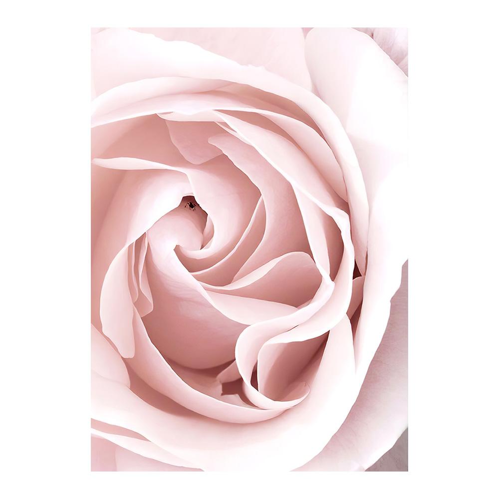 Scandinavian Pink Flower Cherry Blossom Rose Peony Nordic Posters And Prints Wall Art Canvas Painting Wall Pictures For Living Room