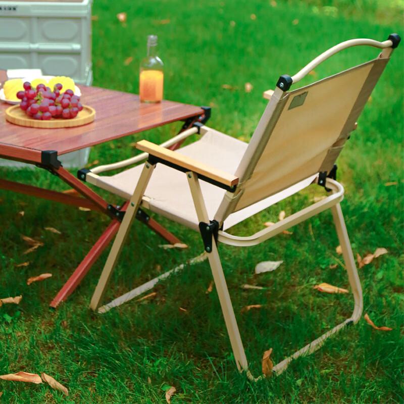 ZISIZ Outdoor Folding Camping Chair