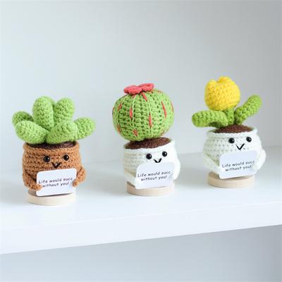 Mini Fiori Carini all'Uncinetto Finiti Fatti a Mano Cactus Cuore Piante in Vaso Bouquet Fatti a Mano Decorazione per la Casa e la Scrivania Regalo di Natale