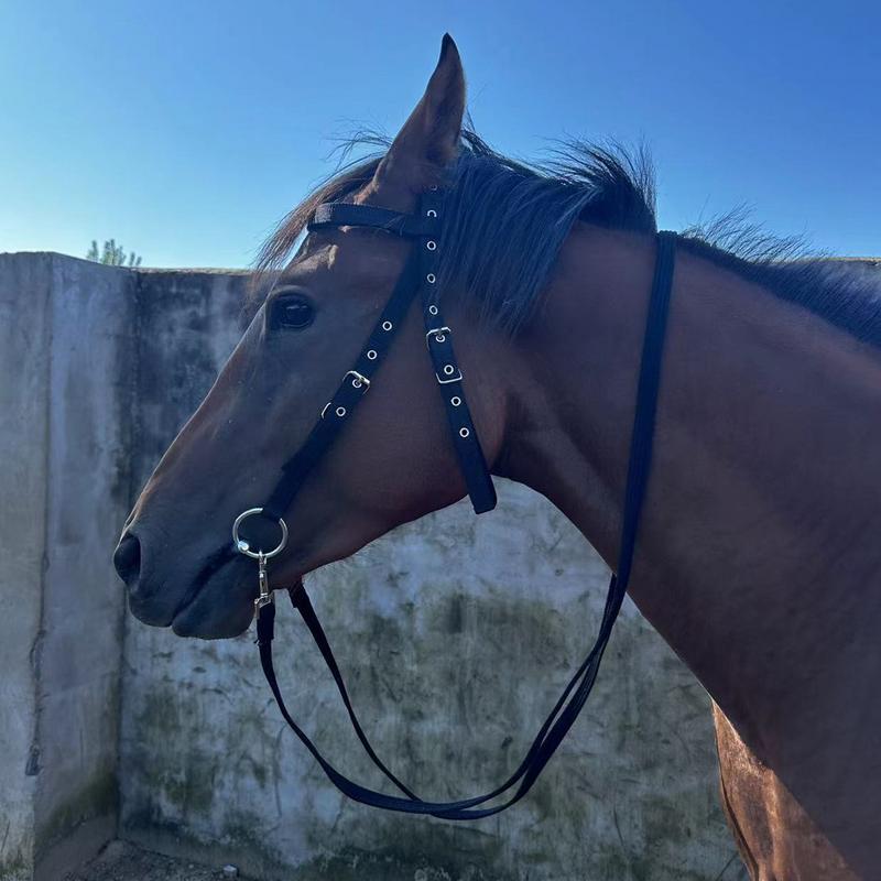 Horse Bridle Headband Throat Latch For Horse Bridle With 3 Buckles Horse Head Headstall Lead Rope Horse Farm Must-have