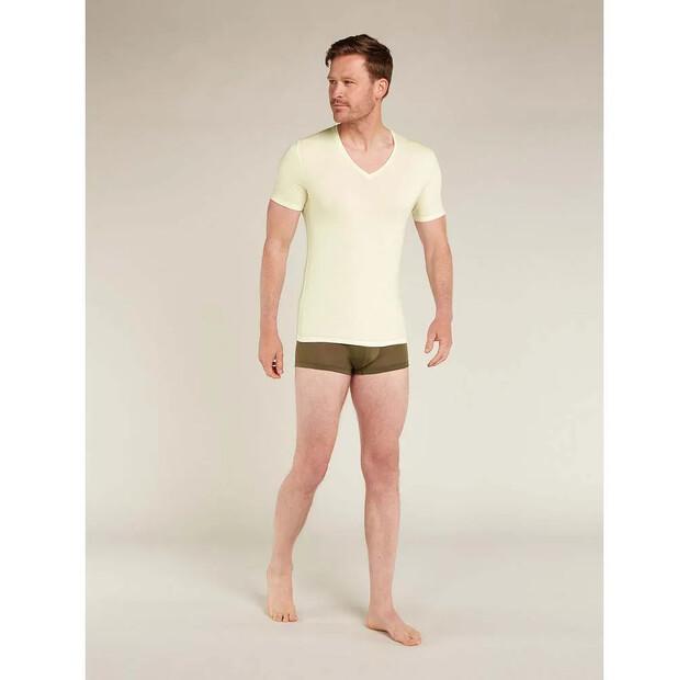 Icebreaker Базовый слой с коротким рукавом Merino 150 Anatomica V