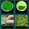 Anhui Lvyue Alpine Cloud Mist Green Tea Bag Spring Harvest 250g