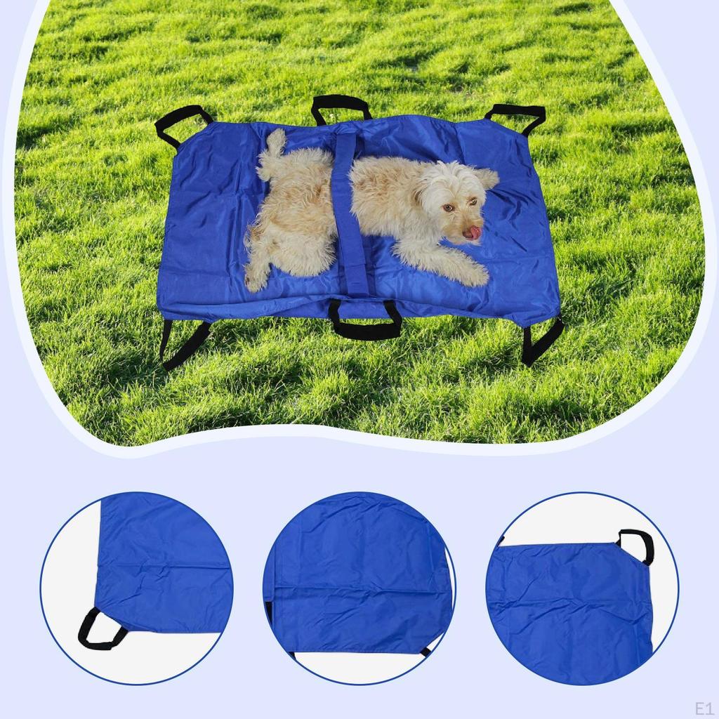 Pet Transport Stretcher Carrier Comfortable Easy To Use Cat Emergency Support for