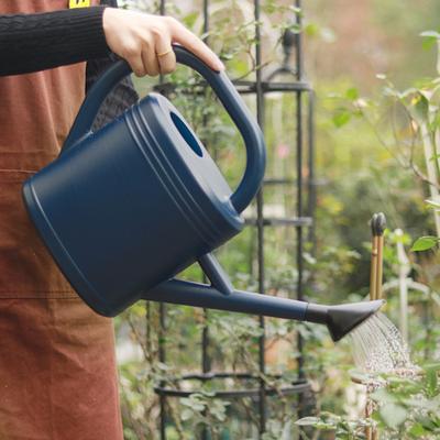 1L/2L Watering Can Garden Watering Can with Removable Shower Head Handheld Outdoor Watering Can for Greenhouse Plants Flowers