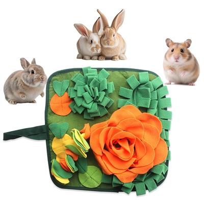 Animalerie – Rongeurs