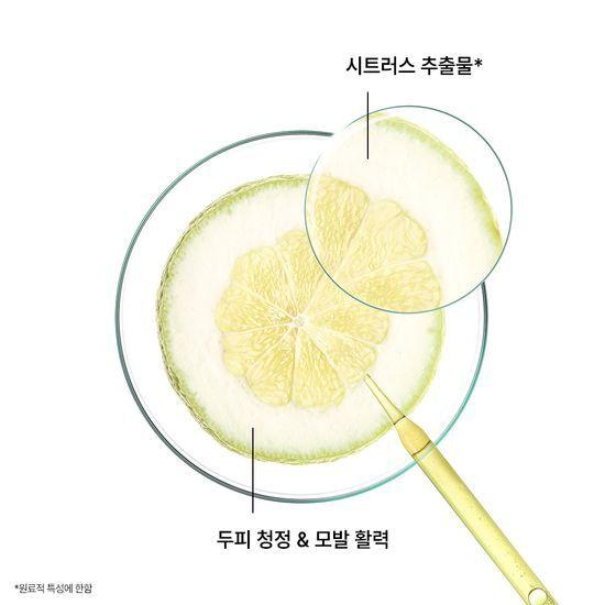 KLORANE Citrus Scaling Shampoo 400ml