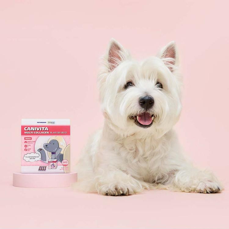 [pethroom X Dongkook Pharmaceutical] Canivita Multi Collagen Dog Nutrition Snack Skin and Hair Joint Nutrition