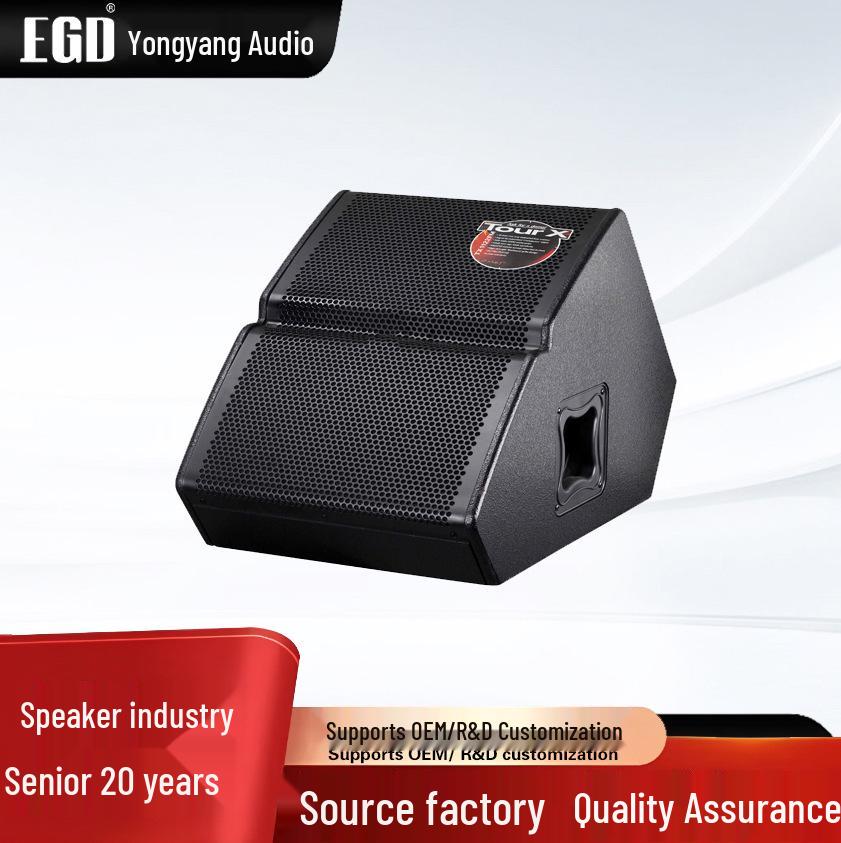 TX1122FM Pro 12" Stage Monitor Speaker Set for Weddings & Entertainment