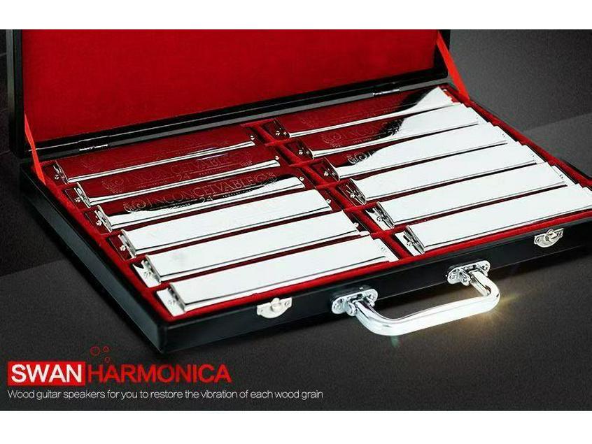 Swan 24-Hole Harmonica Set: 7-Piece and 12-Piece Options, ABCDEFG Keys, for Students and Adults, Beginner Wind Instrument.