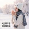 Soft sister cat ear knitted hat autumn and winter warm wool hat cat embroidery cold hat simple versatile hat women's