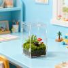 Acrylic Magnetic Reptile Enclosure Transparent Modular Terrarium for Hermit Crab Leopard Gecko and Small Reptiles