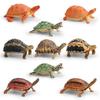 Children Simulated Turtle Model Static Solid Model Toy Animal Set Various Turtle Ornaments Radiated Tortoise Brazilian Slider