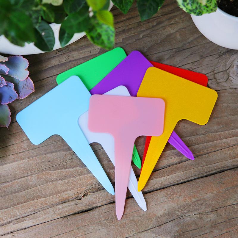 Colorful Writable Garden Plant Tags for Succulents and Flowers
