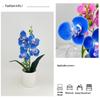 5 Plantas Simuladas de Phalaenopsis en Maceta para Decoración de Hogar y Oficina Plantas Pequeñas en Maceta Falso Bonsái Plantas Verdes
