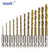 Haisidick 13-Piece Titanium Plated Hex Shank HSS Twist Drill Bit Set