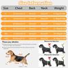 LIANZIMAU Waterproof Dog Raincoat 4 Legs with Leash Hook Reflective Adjustable Belly Strap Clear Hood Lightweight Polyester for Small Medium Large