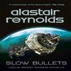 Slow Bullets by Alastair Reynolds Paperback Book 9781473218437
