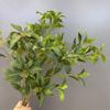 Woondecoratie – Decoratieve bloemen en kransen