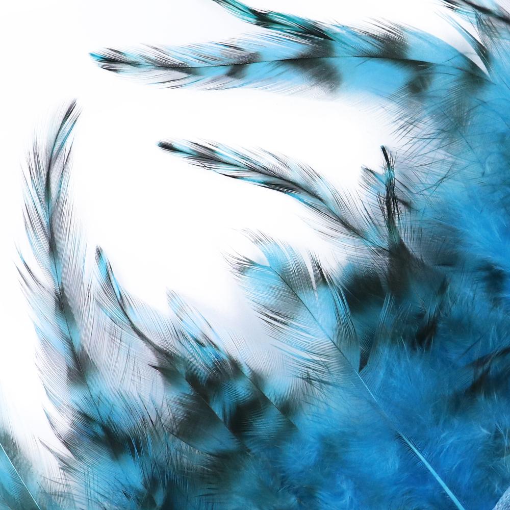 Feather1Meter Dyed Rooster Chicken Feather Trim 4-6inch Natural Pheasant Plumes for Fringe Ribbon Craft DIY Sewing Clothing Dress Decor