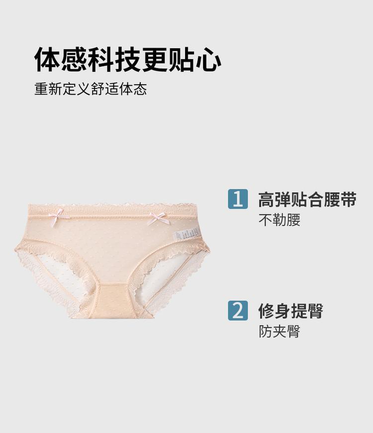 5-Pack Women's Ice Silk Seamless Underwear