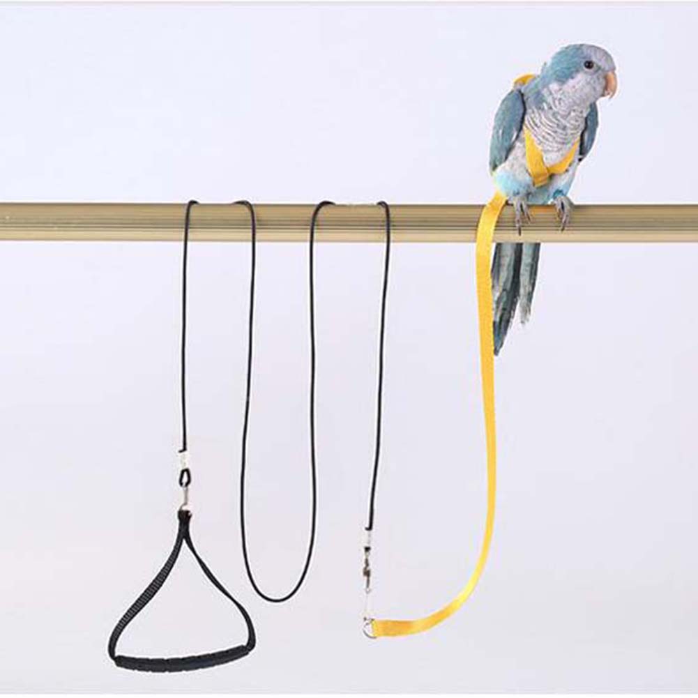 Parrot Harness Leash Ultra-light Adjustable Outdoor Flying Training Rope Bird Accessories