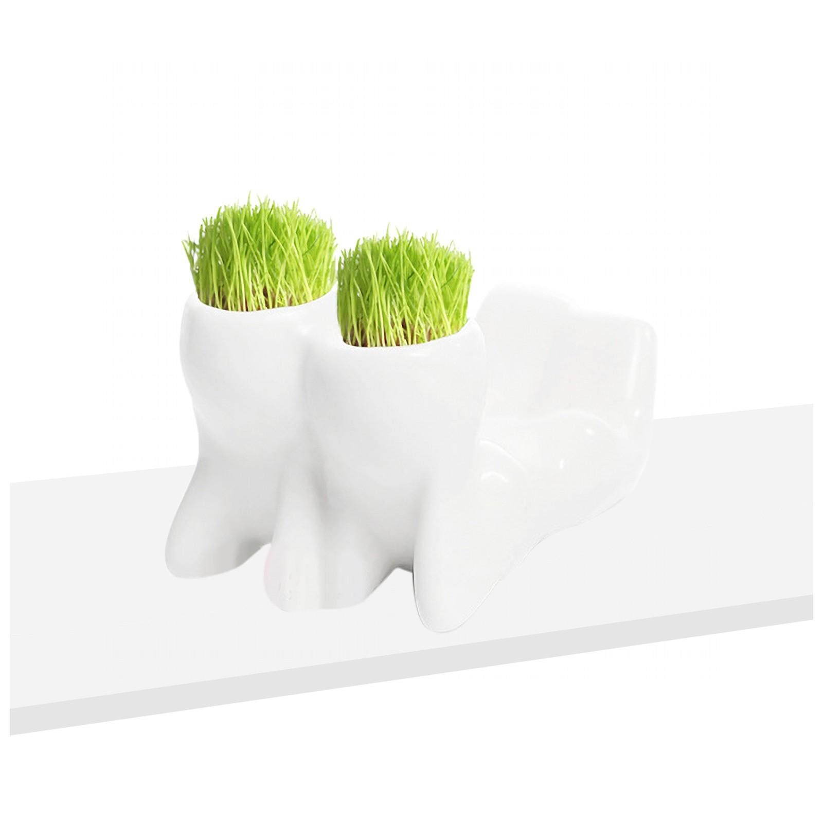 Бонсай Голова Трава Волосы Керамический Растение Сад,Дерево Кукла Травяной Горшок