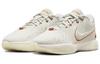 Nike LeBron 21 EP "Akoya" FV2346-001