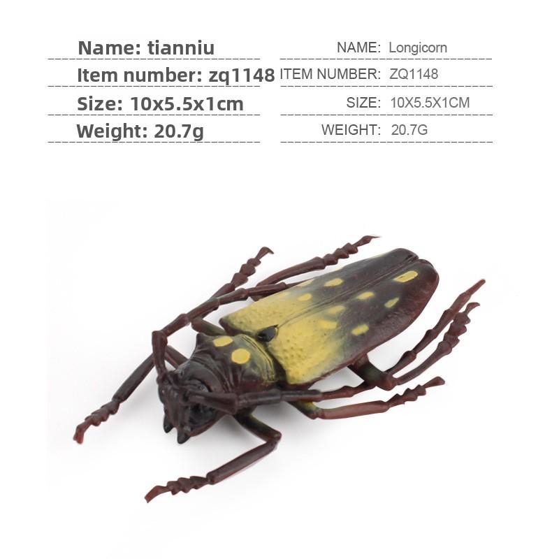 Insect Educational Toy Set With Wasps Ants Crickets Models For Kids Science Learning