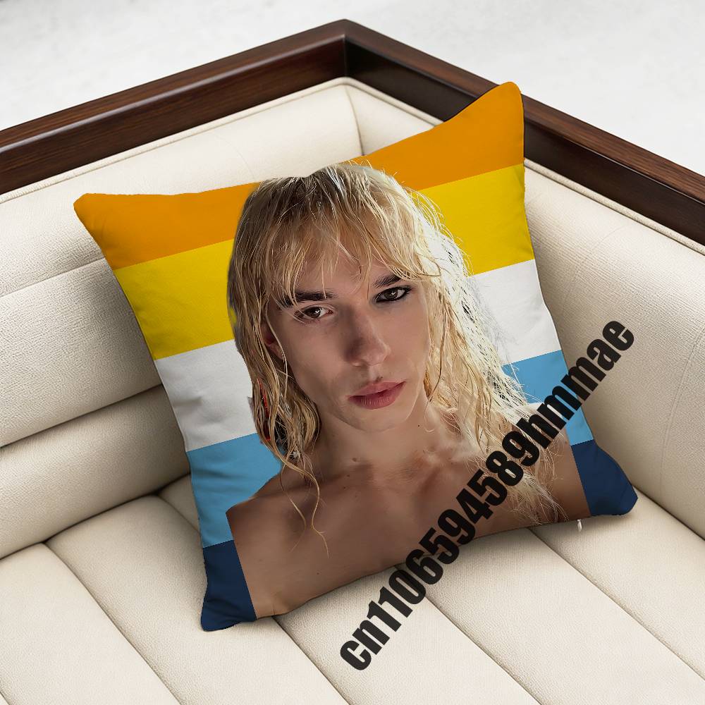 For Lgbt Gay Usa America 2-2Hollis Throw Pillow Case Sham 45X45Cm 40X40Cm Square Car Pillowcase Pad Cushion Cover