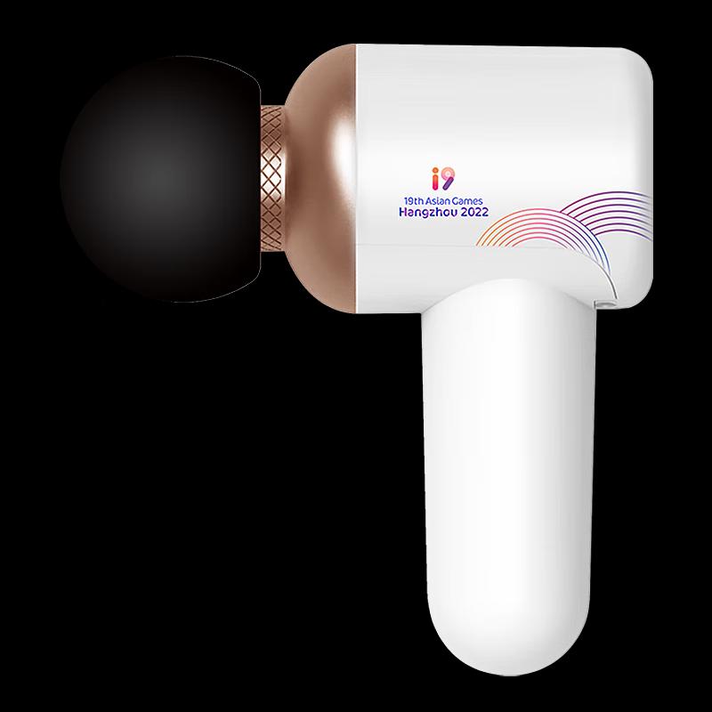 Ailiste C503-1 Mini Fascia Massage Gun