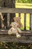 Steiff Ben Teddy Bear 30cm 113963