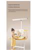 Eye-Protecting Floor Lamp: Full-Spectrum, Shadowless Design for Studying and Reading