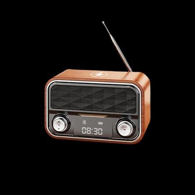 Audio & Video – Tragbare & Bluetooth-Lautsprecher