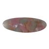 Gold Label Acetate Oval Hair Clip - New Bangs and Side Clip Accessory