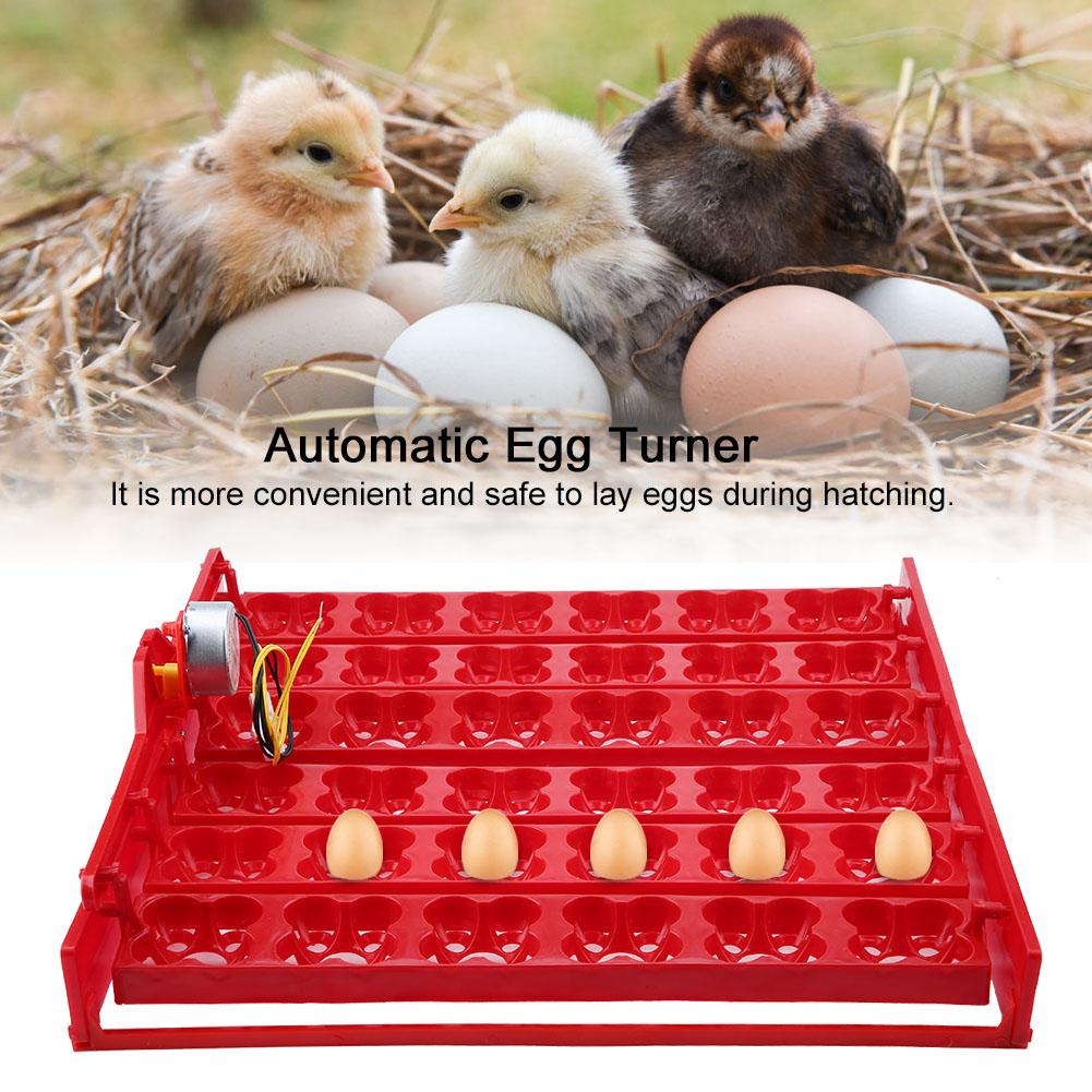 Incubateur Éclosoir Automatique 36 Œufs 144 Œufs d'Oiseaux Plateau Tourne-Œufs Outil (moteur 220V)