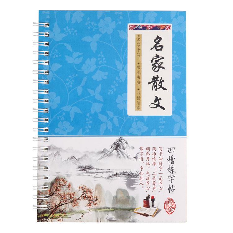 6Pcs/Sets 3D Chinese Characters Reusable Groove Calligraphy Copybook Learn Hanzi Adults Art Writing Practice Books Libros