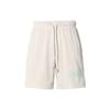Jordan Mesh Breathable Casual Basketball Shorts Men shorts White DH9072-104
