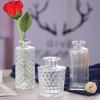 Nordic Glass Vase: Elegant Hydroponic and Dried Flower Decor for Office or Home.