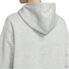 Nike Sweatshirts Women's Gray/HV1745 063 Hooded Non Detachable Moderate HV1745-063