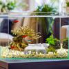 Aquarium Decorations Easy Installation Fish Tank Decoration Cave For Bathrooms Kitchens Bedrooms Nursery Dormitory Apartment