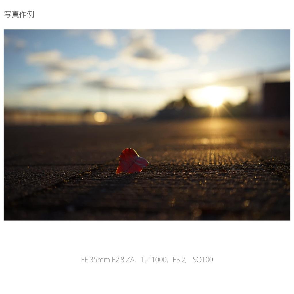 Sony Sonnar FE 35mm ZA Single Focus Compatible T F2.8 Wide-Angle Lens, Full-Frame