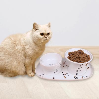 Raised Pet Feeder Tray Water Dispenser Plate Feeding Kitten Supplies Cat Food Bowl for Dog