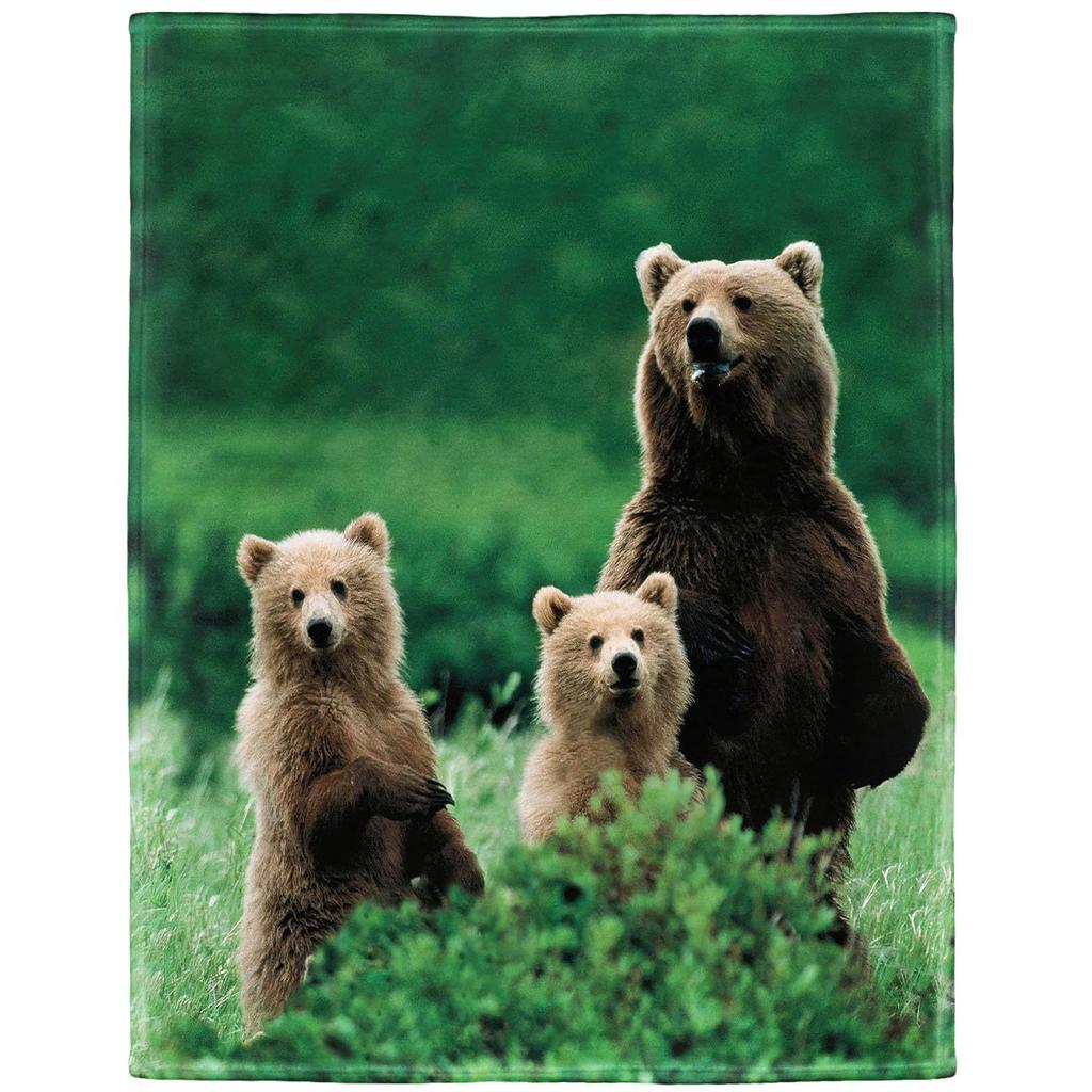 Painted Forest Bear digital-printed polyester Bedroom velvet flannel cover blanket Fleece soft sofa cover blankets for beds